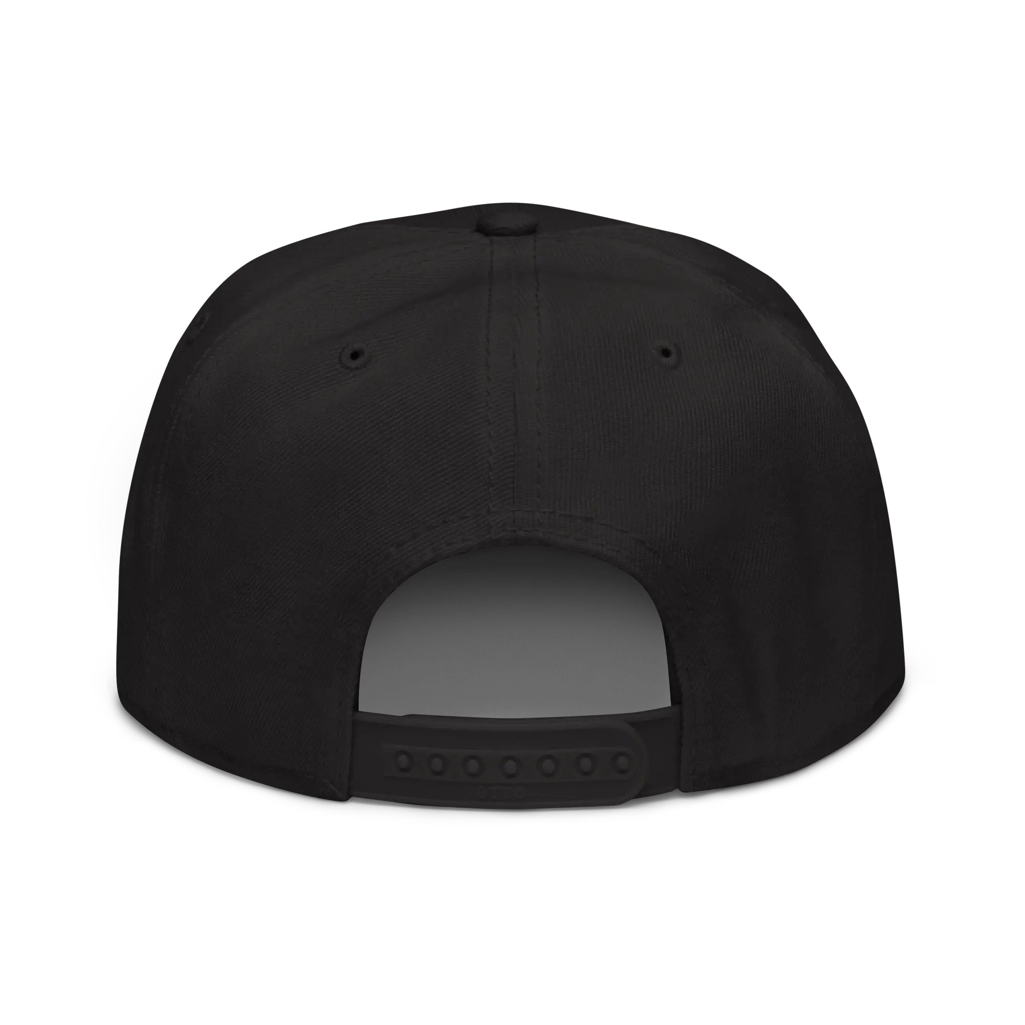 RUNED Snapback - Back View
